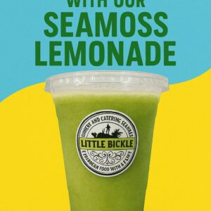 COOL DOWN WITH OUR SEAMOSS LEMONADE