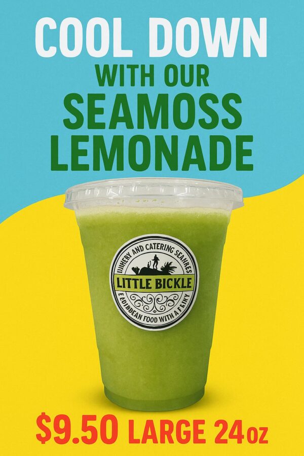 COOL DOWN WITH OUR SEAMOSS LEMONADE